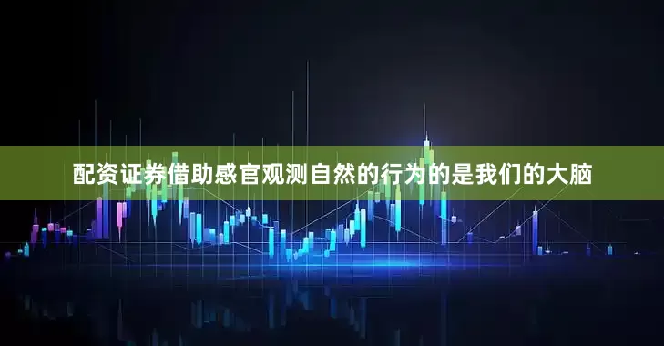 配资证券借助感官观测自然的行为的是我们的大脑