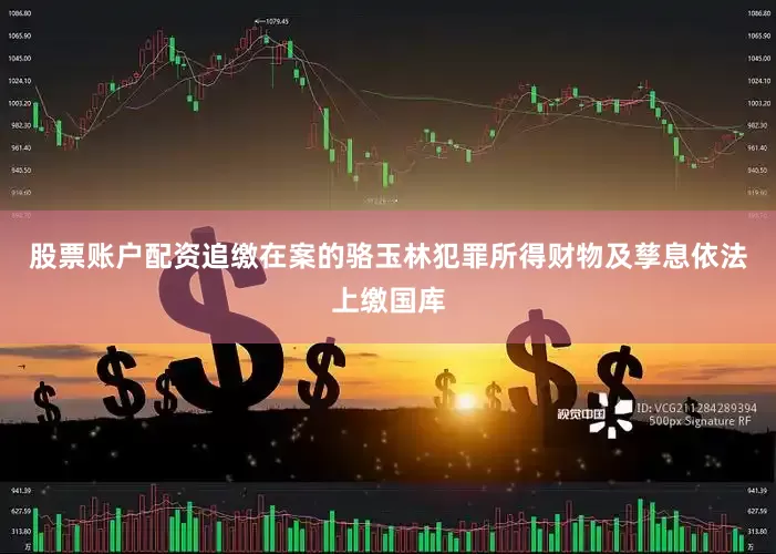 股票账户配资追缴在案的骆玉林犯罪所得财物及孳息依法上缴国库
