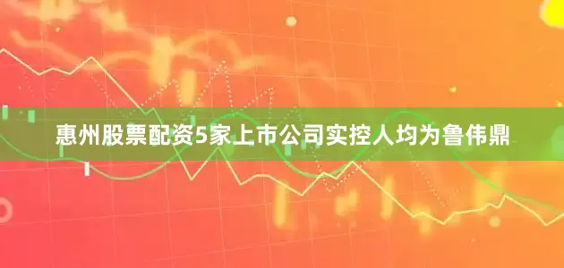 惠州股票配资5家上市公司实控人均为鲁伟鼎