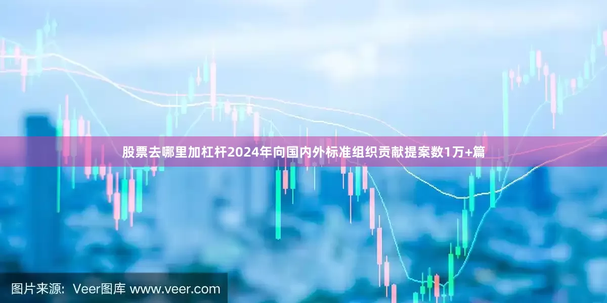 股票去哪里加杠杆2024年向国内外标准组织贡献提案数1万+篇